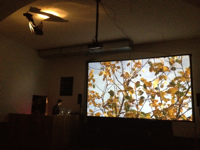 "Le déjeuner sur l’arbre", 2012, Videoinstallation, Soundperformance